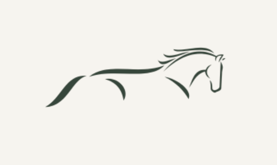 Logo Élan - box équestre mensuelle française