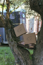 Cheval avec box Collection CURA Élan - soins équestres naturels