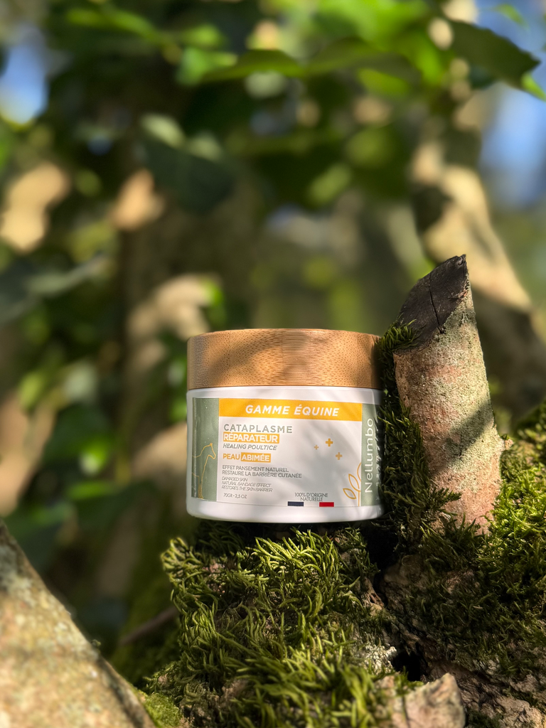 [NEL-003] Cataplasme Réparateur 70gr